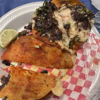 El Takonero - 12 dollar quesabirria - Food Trucks Near Me - Houston, Texas El Takonero - 12 dollar quesabirria - Food Trucks Near Me - Houston, Texas