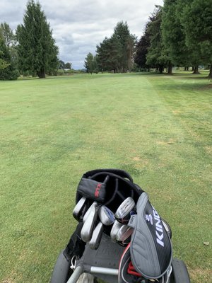 RIVERSIDE GOLF CLUB Updated July 2024 73 Photos 88 Reviews 1451