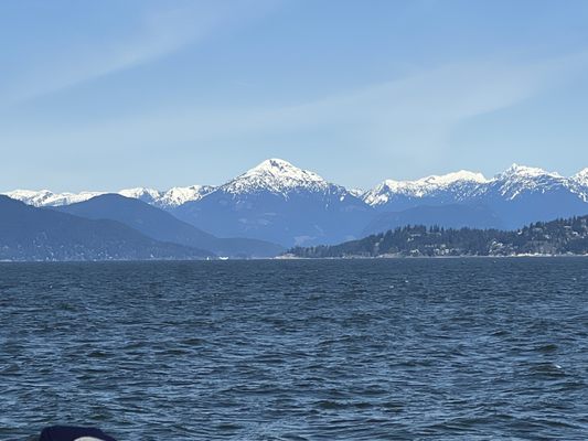 Prince of Whales - Whale & Marine Wildlife Adventures Vancouver by null