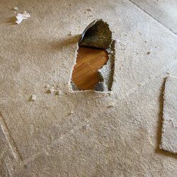M F Hardwood Floors - Dirty old rug with pet stains etc