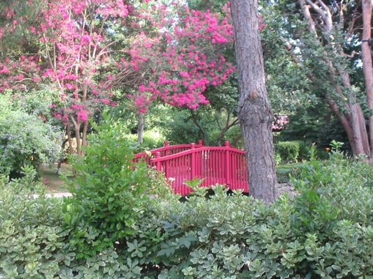 The Langham Huntington, Pasadena by null