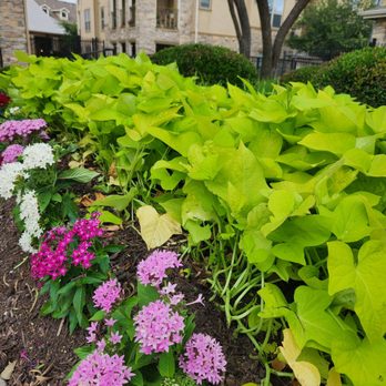 7 Kings Landscaping Services - Landscaping - Tree Services Near Me 7 Kings Landscaping Services - Landscaping - Tree Services Near Me