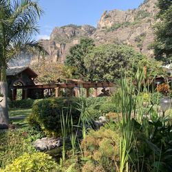 La Buena Vibra - View from our table at the restaurant.