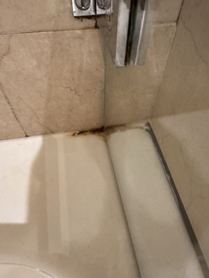 Le Royal Hotel Lyon - MGallery Collection by null