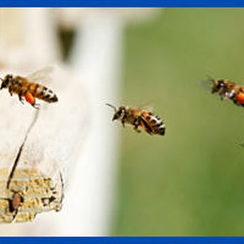 Pest Patrol Co Control - Pest Control Near Me Pest Patrol Co Control - Pest Control Near Me