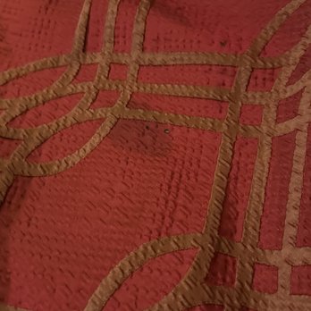 Econo Lodge Woodland Near I-5 - Bedspread with stains and cigarette burns. - Hotels Near Me - Woodland, California Econo Lodge Woodland Near I-5 - Bedspread with stains and cigarette burns. - Hotels Near Me - Woodland, California