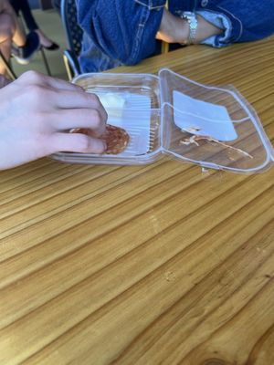 Comforts of Whidbey Winery and B&B by null