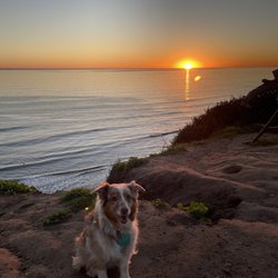 Douglas Family Preserve - ** Dogs Welcome ** ** on and off leash ** Starting the BarkDay celebration early!
