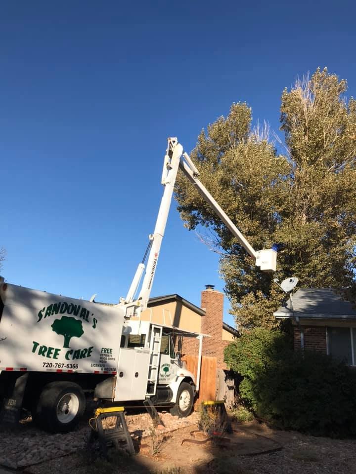 Sandoval's Tree Care - tree service in Aurora, CO