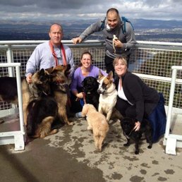 Top of the tower