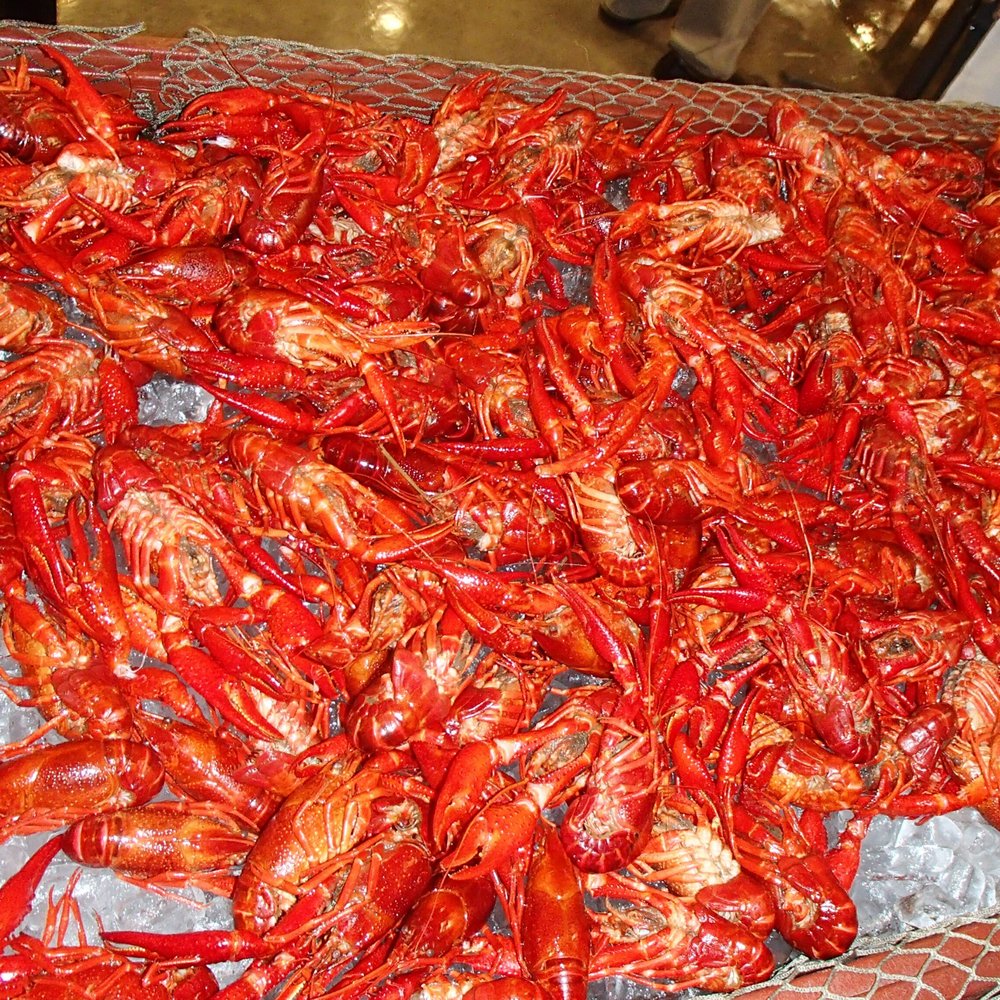 IKEA Swedish Crayfish Party - Swedish Crayfish! - Festivals Near Me - Plantation, Florida IKEA Swedish Crayfish Party - Swedish Crayfish! - Festivals Near Me - Plantation, Florida