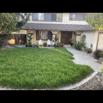 Francisco's Full Tree Service - After - Tree Services Near Me - San Jose, California