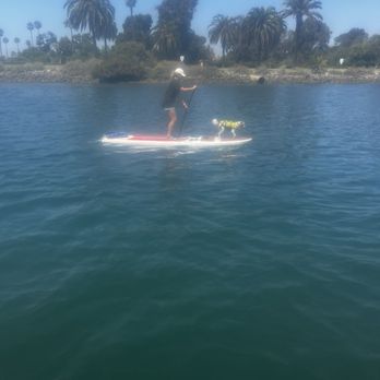 SUP Pups - Paddleboarding Near Me - San Diego, California SUP Pups - Paddleboarding Near Me - San Diego, California