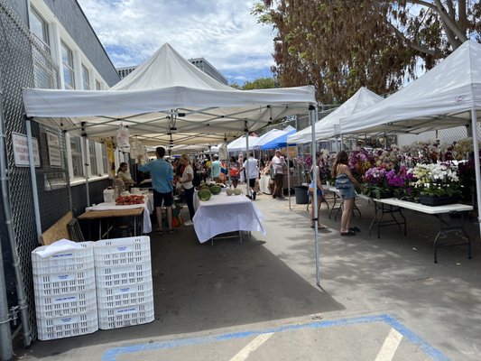 La Jolla Open Aire Farmers Market by null