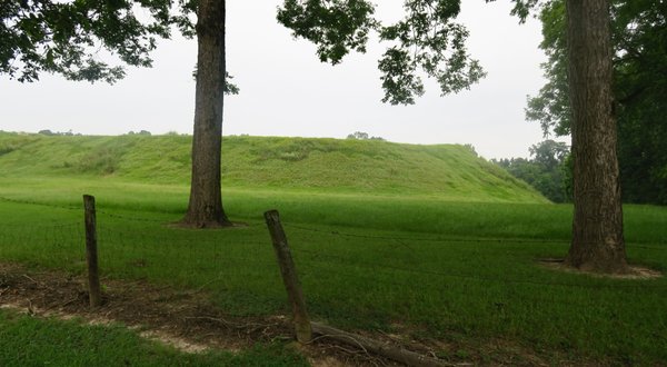 Emerald Mound by null