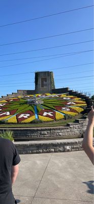 Floral Clock by null