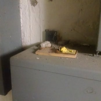 Drexelbrook Apartments by Drexelbrook Management - mouse trap in the basement - Apartments Near Me - Drexel Hill, Pennsylvania Drexelbrook Apartments by Drexelbrook Management - mouse trap in the basement - Apartments Near Me - Drexel Hill, Pennsylvania