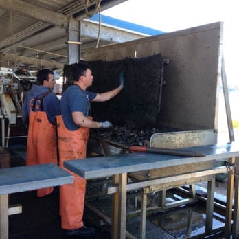 Hog Island Oyster - Emptying baskets - Seafood Near Me - Marshall, California