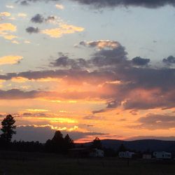 Meadows Edge Cabins - Beautiful Sunset in Alpine AZ after a nice summer rain shower.