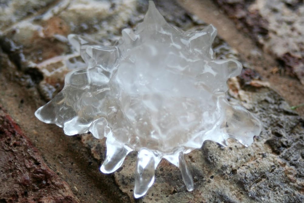 Slide of Dalco Contractors & Roofing