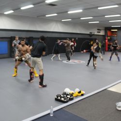 Kitsap Combat Sports - Main mat at KCS, 2,300 square feet.