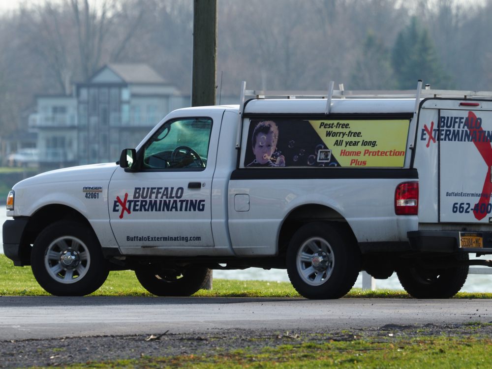 BUFFALO EXTERMINATING CO - 1763 Baseline Rd, Grand Island, New York ...