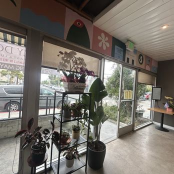 Lazy Dough - Breakfast & Brunch Near Me - Long Beach, California