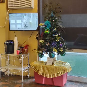 Midas - They added a small cute tree - Auto Repair Near Me - Pearl City, Hawaii