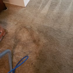 Carpet beautifier - High traffic hallway mid cleaning. Look at the difference.