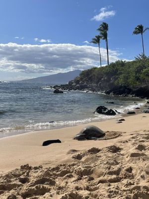 D.T. Fleming Beach Park by null