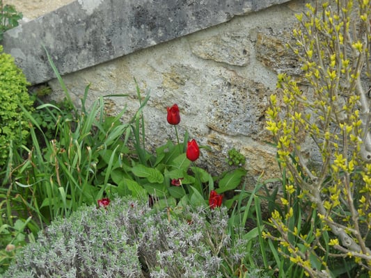 Potager du Roi by null