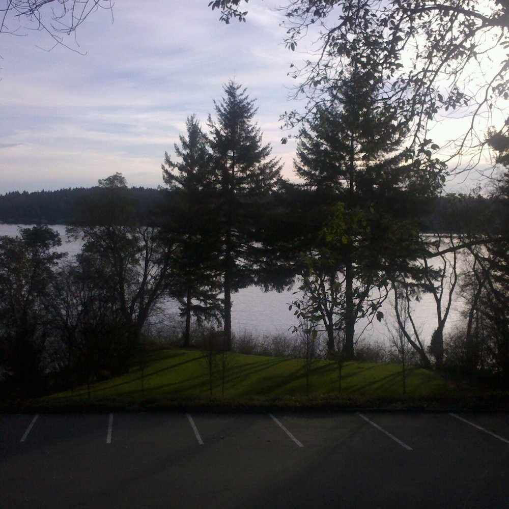 Chism Beach Park - Parks Near Me - Bellevue, Washington Chism Beach Park - Parks Near Me - Bellevue, Washington