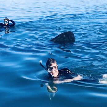 Tuna Tuna Tours - My son Carl and I were lead through the water to swim with whale sharks by Maritza astute attention to our needs. - Snorkeling Near Me - La Paz, BCS Tuna Tuna Tours - My son Carl and I were lead through the water to swim with whale sharks by Maritza astute attention to our needs. - Snorkeling Near Me - La Paz, BCS
