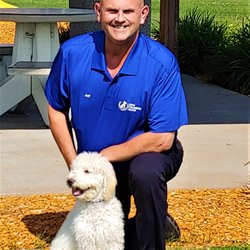 Dog Training Elite Kenosha & Racine