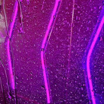Rally - "Let me guide you to the Purple Rain" OuiOui - Convenience Stores Near Me - Clearwater, Florida