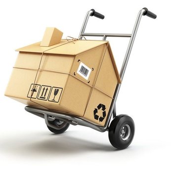 Chuco movers - Movers Near Me