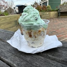Mint Chocolate Chip