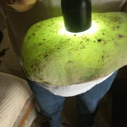Schulman Gemological Services - jade found in russian river 75 years ago