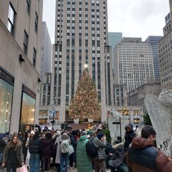 Rockefeller Center Christmas Tree - The Rockefeller Center Christmas Tree 2025 Edition