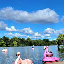 Delaware Park - Delaware Park