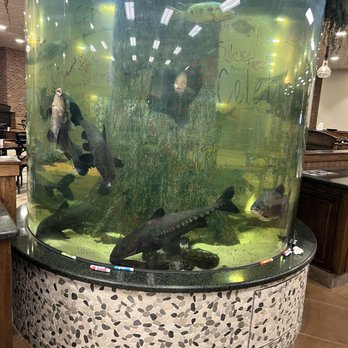 Prasek's Hillje Smokehouse - The aquarium - Smokehouse Near Me - Sealy, Texas