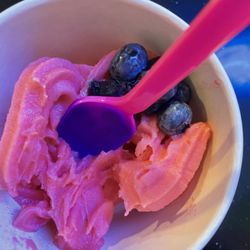 Koala Berry - Watermelon Sorbet Yogurts & Ice Cream Cup Flavors with Blueberries