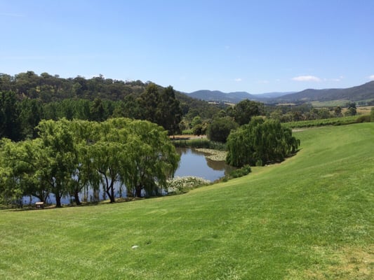 Tarrawarra Estate by null