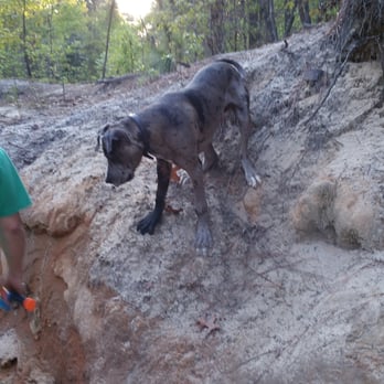 Martin Park - My puppy dane - Dog Parks Near Me - Southern Pines, North Carolina