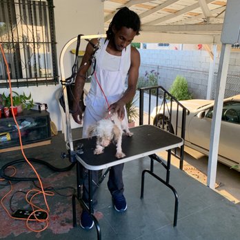 Majay's Dog Bathing - Before & after pictures - great quality work and affordable prices - Pet Groomers Near Me Majay's Dog Bathing - Before & after pictures - great quality work and affordable prices - Pet Groomers Near Me