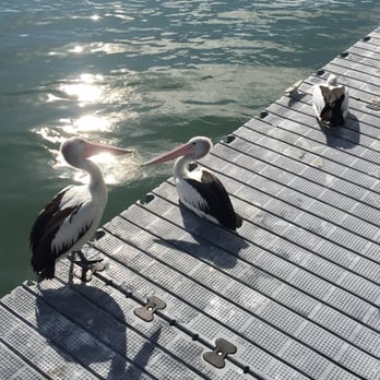 The River Deck on Noosa Marina - More of the locals - Restaurants Near Me - Tewantin, QLD