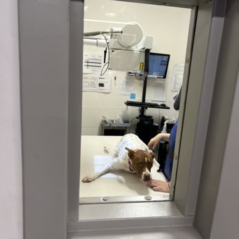 VEG ER for Pets - X-Ray Room - Emergency Pet Hospital Near Me - Dallas, Texas VEG ER for Pets - X-Ray Room - Emergency Pet Hospital Near Me - Dallas, Texas