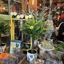 The Garden Shed - Lemon tree
