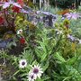 Photo of Botanischer Garten