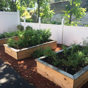 Cafe Reyes - They grow their own herbs! Love it! - Cuban Near Me - Worcester, Massachusetts